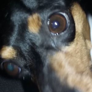 Meet your Posher, Raymond